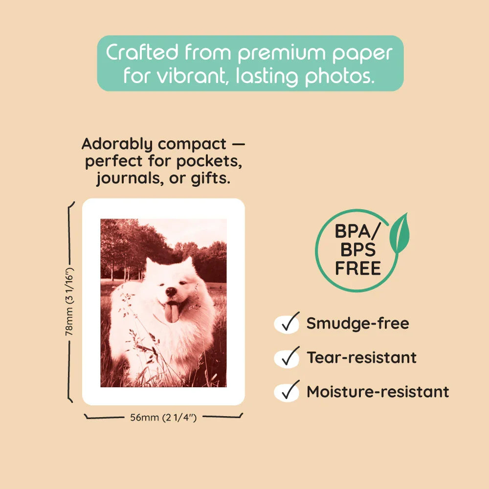A photo print of a white dog with a red tint, measuring 78x56mm.