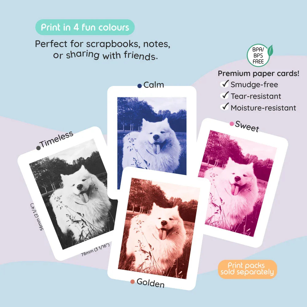 Four colorful prints of a Samoyed dog labeled Calm, Sweet, Timeless, and Golden.
